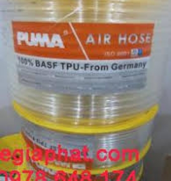 ỐNG HƠI PUMA, ỐNG HƠI TRẮNG PUMA